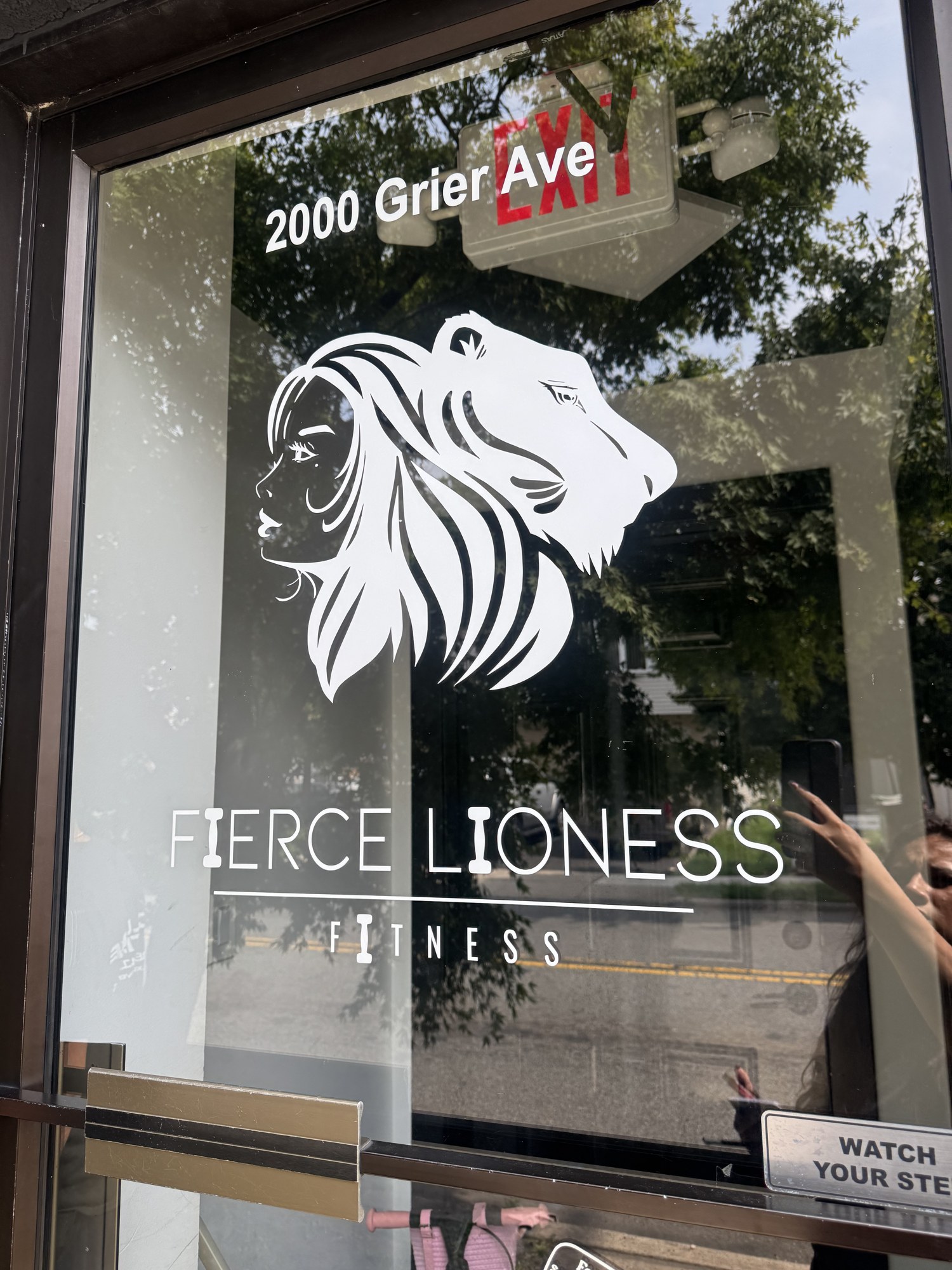 Commercial Fierce Lioness — Vinyl Graphics, Commercial Window Film